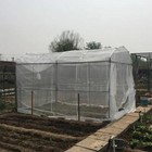 Picture 3 of 29