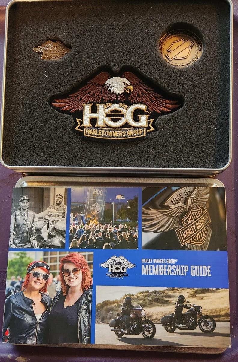 Harley Davidson Motorcycle Pins Owners Group Eagle One 10th