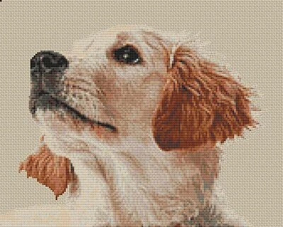 SUSANMOWER Golden Retriever Puppy Counted Cross Stitch Kit 12" x 9.5" 30cm x 24cm 14 ct