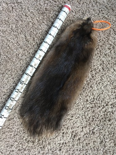 XLarge Muskrat Pelts Tanned Top Quality Wild Country Furs fishing fly trout fish