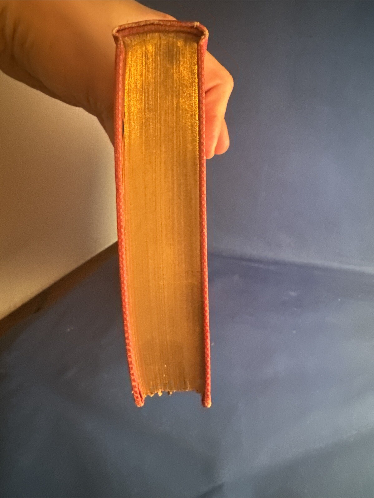 Picture 6 of 11
