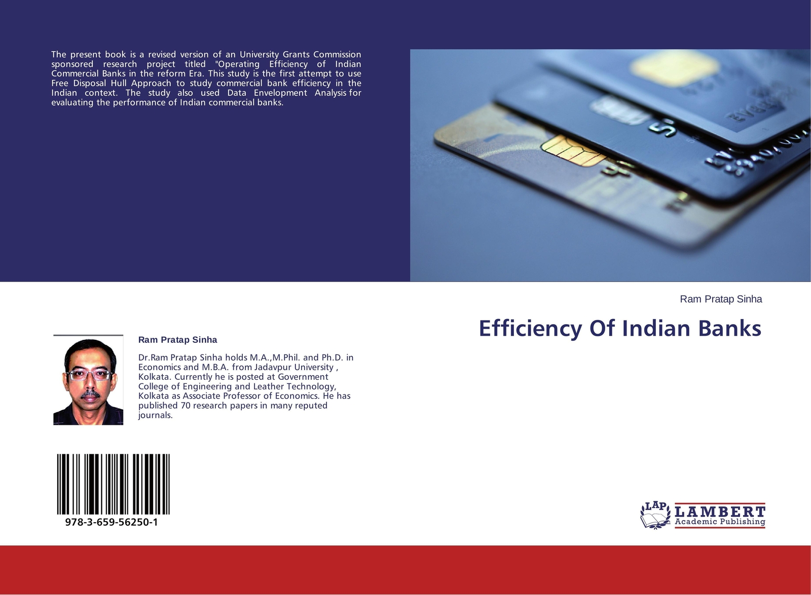 Thumbnail - Ram Pratap Sinha | Efficiency Of Indian Banks | Taschenbuch | Englisch