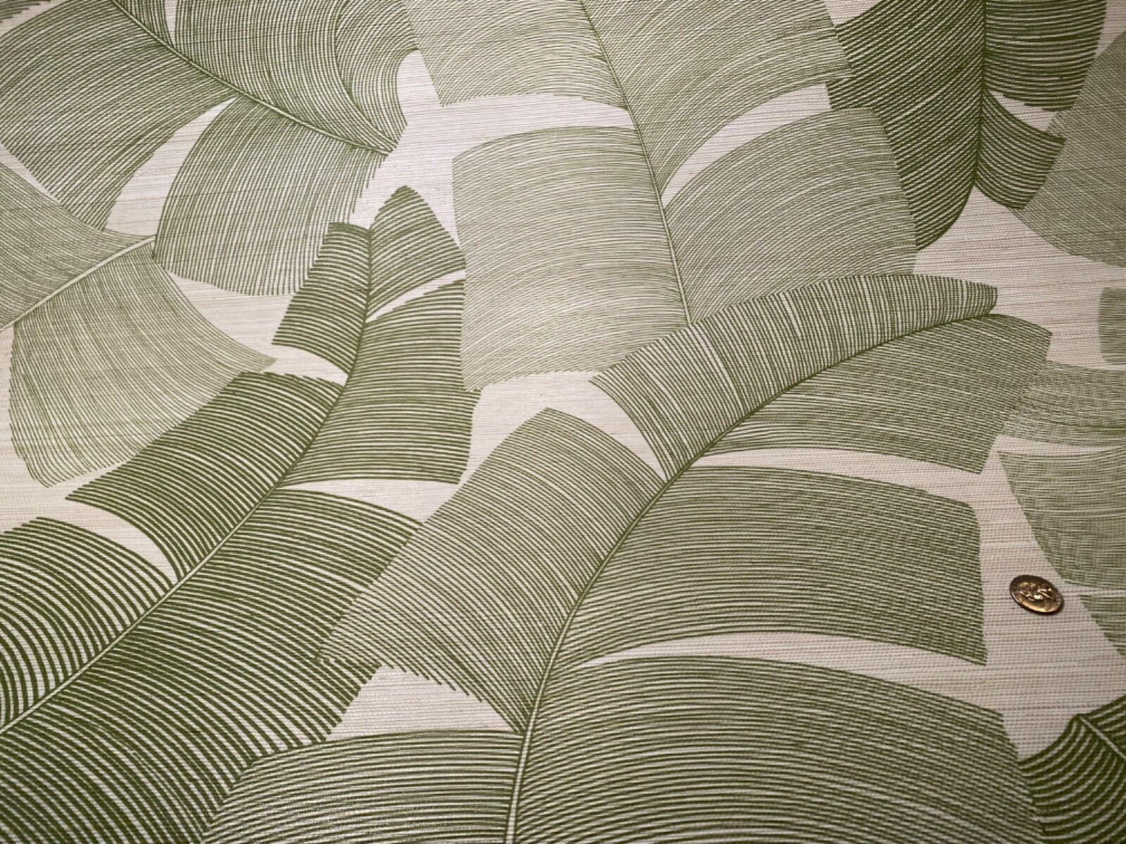 Picture 3 of 24