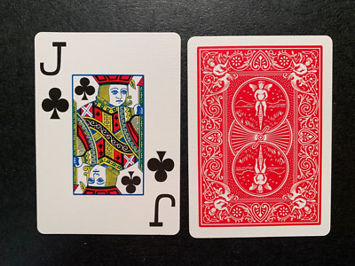 【中古】ホンネラボ Bicycle Owl Playing CardsVer.1 Bicycle Strigiformes Owl Playing Cards – Rare Playing Cards