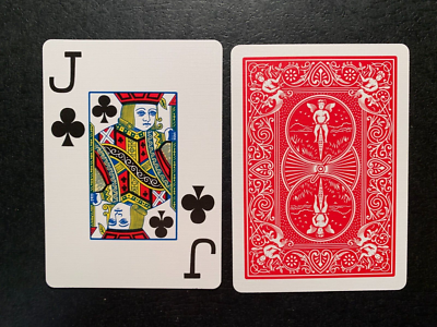 トランプ Bicycle Kasa Playing Cards Kasa Bicycle Playing Cards 2 Deck Set | PlayingCardDecks.com
