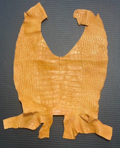 American Alligator Hide Honey Matte Body Genuine Gator Skin 2137B-I1 - Picture 5 of 5