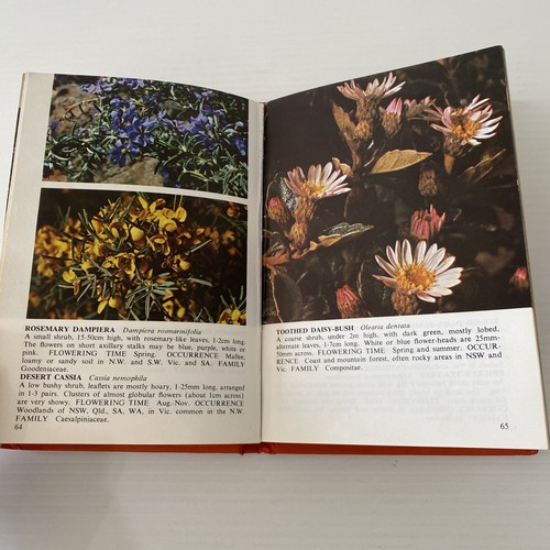 Wildflowers Of South East Australia Book Jutta Hosel 1969 Native Flowers Plants - Picture 14 of 18