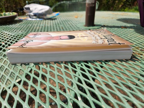 "Shit Magnet" by underground writer Jim Goad. Good condition from Feral House - Picture 3 of 4