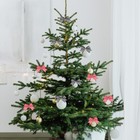 Bild 11 von 12