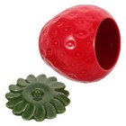  Strawberry Shaped Canister: Strawberry Ceramic Cookie Jar Farmhouse Jar With