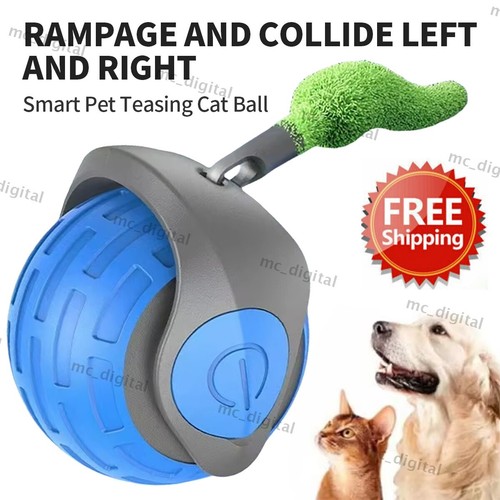 Neue Speedy Tail 2.0, Speedy Tail Katzenspielzeug, Interaktives Katzenspielzeug - Picture 20 of 21