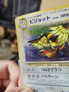 ポケモン - ポケモンカード ピジョット PSA 1997 PIDGEOT Japanese Pidgeot 038 Pokemon Zukan Card Japanese Rare Nintendo F/S | eBay