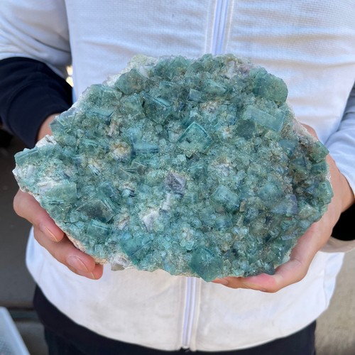 6,1 Pfund NATÜRLICHER grüner Würfel FLUORIT Quarz Kristall Cluster Mineral Probe - Bild 1 von 6