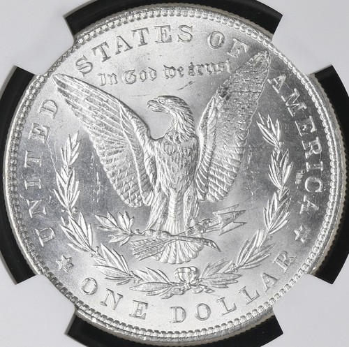 1884 Morgan Dollar MS-66+ NGC VIDEO - Picture 5 of 7