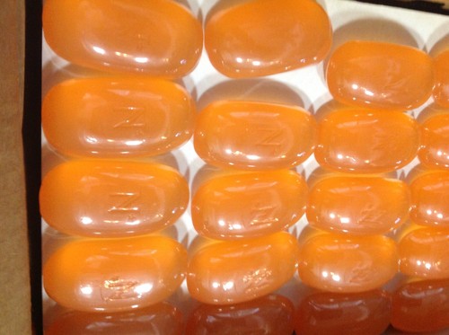 Glycerin Seife Spa Terre Menge 25 Made in America Versender am selben Tag