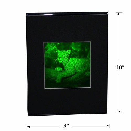 Imagen holograma 3D JAGUAR 2 canales (soporte de escritorio), tipo fotopolímero coleccionable - Imagen 4 de 7