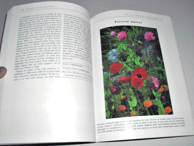 Bild 9 von 11