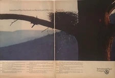 1968 International Paper PRINT AD Use For Every Part of Tree VTG 1960s Bird Nest