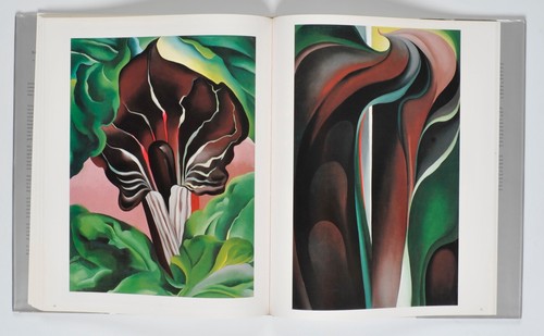 Georgia O'Keeffe The New York Years Hardcover DJ Book 1991 First Edition - Picture 8 of 9