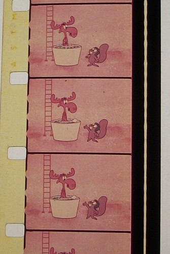 BULLWINKLE SHORT 16MM FILM MOVIE ROLLED NO REEL Z175 - Imagen 4 de 7