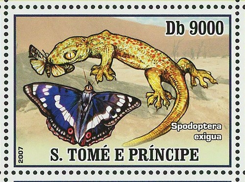 Butterflies Stamp Lizards Insects Pseudocreobotra Wahlbergi S/S MNH #3008-3011 - Picture 9 of 12