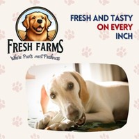 5lb Value Pack Natural Rawhide Chips : Premium Cut Rawhide Dog Chews 2