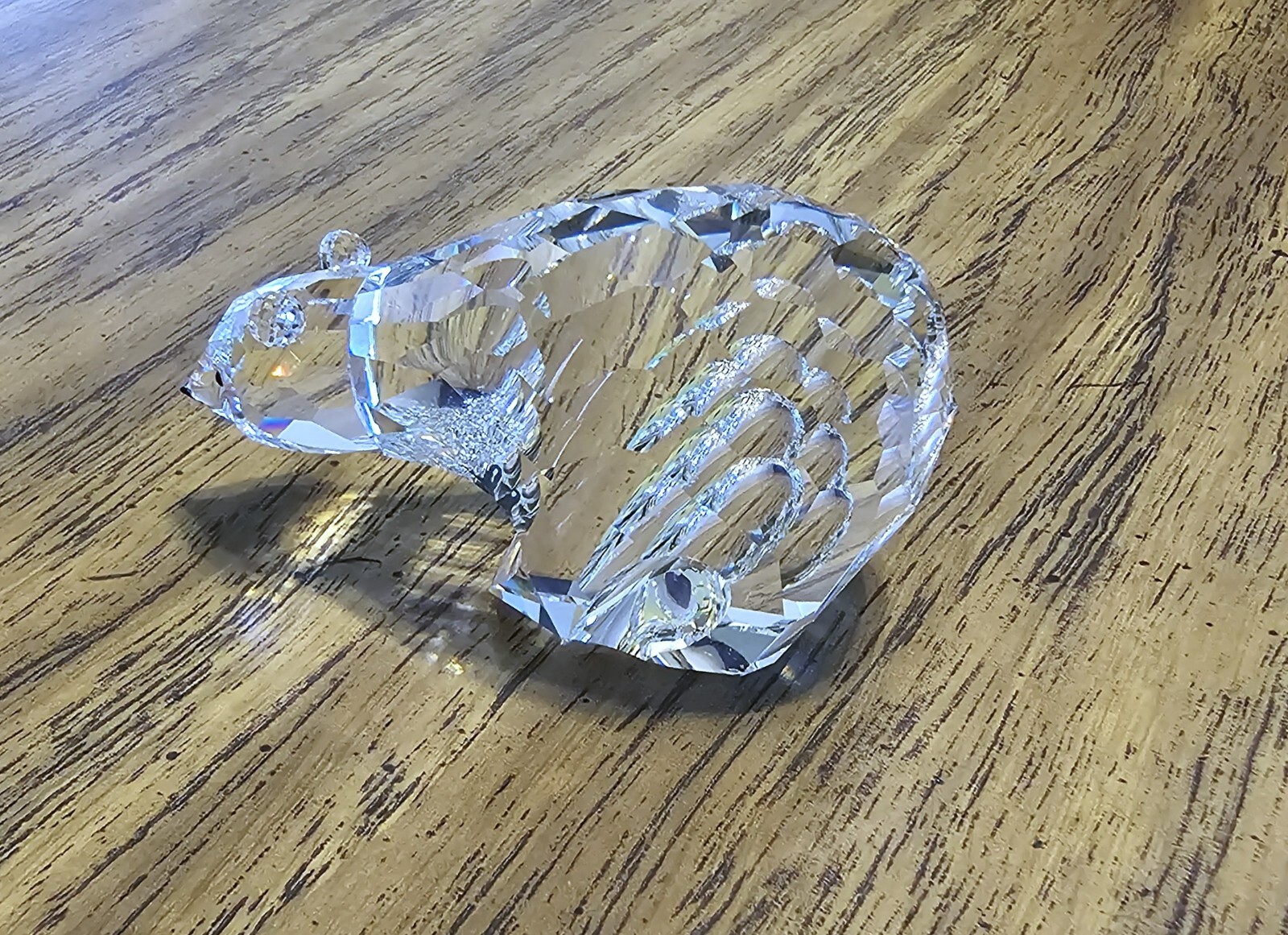 Picture 4 of 24