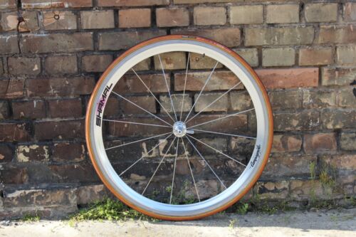 Juego de ruedas Campagnolo Shamal ruedas bicicleta de carretera llantas ruedas - Imagen 12 de 15