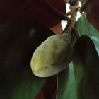 Bild 5 von 5