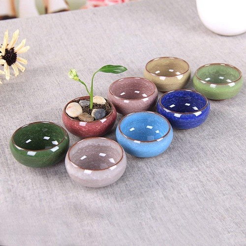 Vaso per Piante Succulente, My Decor 12 Pezzi 2,5 Pollici Ceramica Ice Crack Pianta di Cactus... - Foto 7 di 7