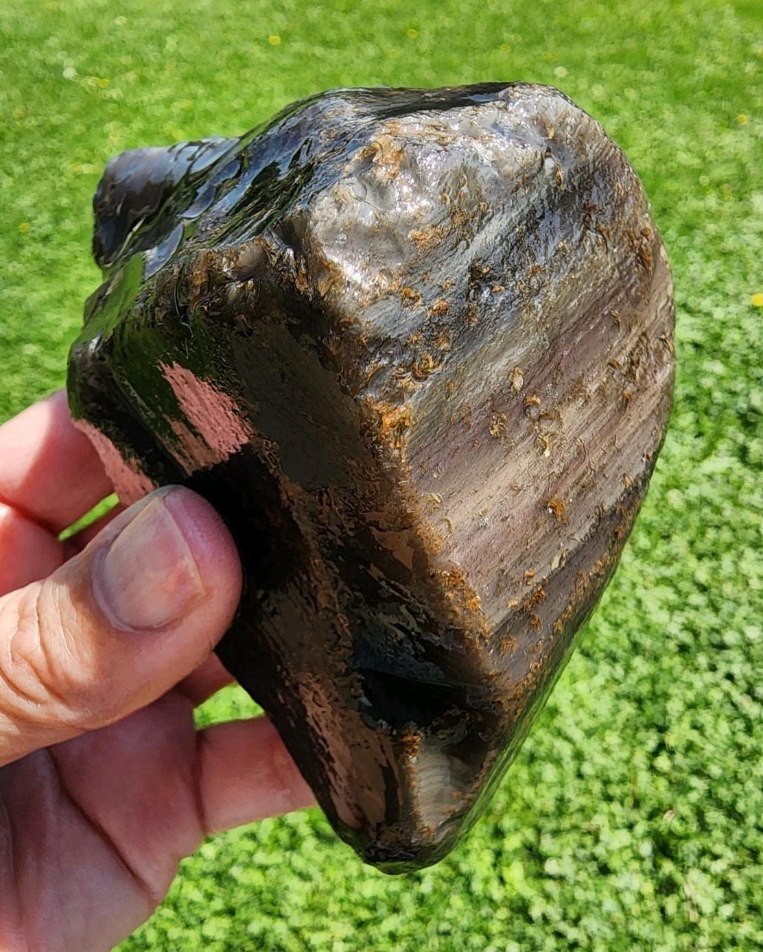 Picture 2 of 5
