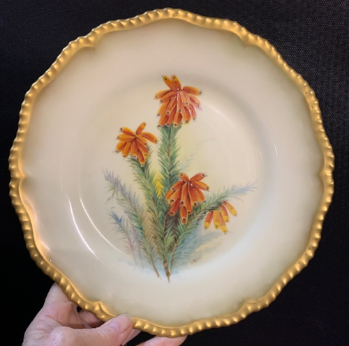 Fantastic W Hale Hand Painted Royal Worcester Botanical Cabinet Plate 1918 - Picture 14 of 17