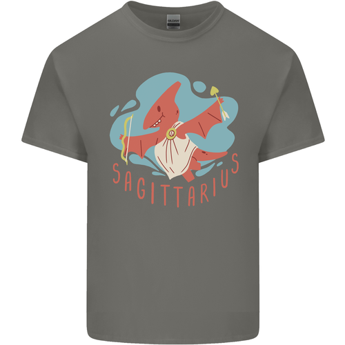 Sagittarius Dinosaur Pterosaurs Star Sign Kids T-Shirt Boys Girls - 第 43/72 張圖片