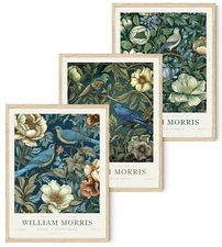 Djmwtb William Morris Wall Art Vintage Poster Prints Set of 3 Botanical Bird ...