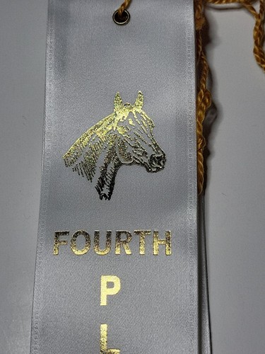 Lot Of 20 Horse Racing Award Ribbons 2" x 8" Horse Racing Rodeo Party Supplies - Picture 13 of 17
