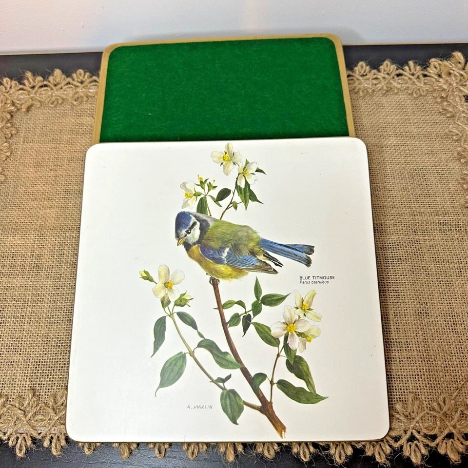 Vintage Pimpernel Sheraton Placemats Set of 6 British Birds Boxed Cottagecore - Image 4 of 4