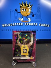 2024-2025 Panini Prizm Lebron James #130 Pink Cracked Ice Prizm