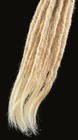 Foto 2 di 2