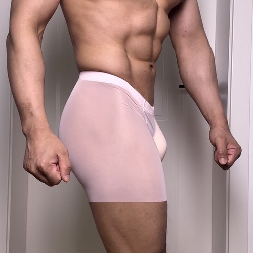 Men Ultra-thin Mesh See-through Boxer Shorts Sexy Lingerie Underwear Hipsters US - Picture 28 of 36