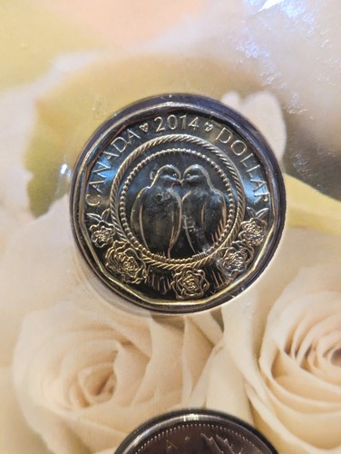 RCM MARRIED IN 2014 5 COIN SET SEALED!! Rare!! from Canada Post - Bild 5 von 5