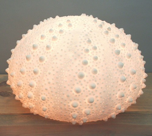 15"D Beach Ocean White Sea Urchin Shell Light Up Frosted Glass Natural Sandstone - Bild 2 von 6