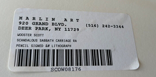Jane Wooster Scott „The Scandalous Sabbath Carriage Race“ - Bild 2 von 4