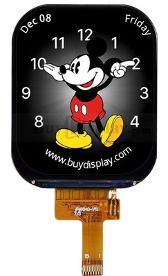 IPS 2 inch TFT LCD Display,240x296,JD9853 Controller