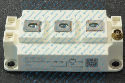NEW 1PCS SKM300GAR123D  MODULE
