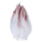 Best Seller 100pcs Blush Pink Dip Ombre Rooster Feathers 8-15cm Diy Art Craft