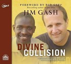 Divine Collision: An African Boy, an American Lawyer, and Their Remarkable Battle for Freedom by Jim Gash (CD-Audio, 2016)