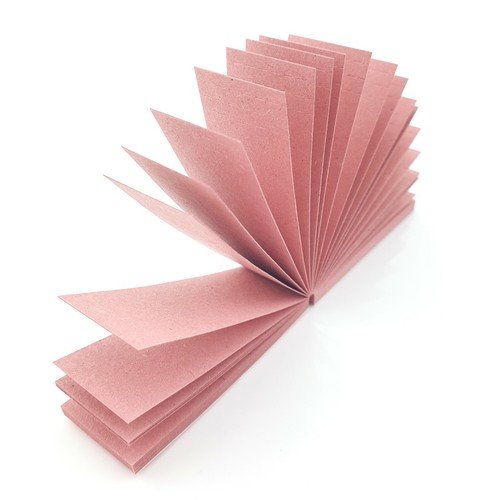 Folleto Blazy Susan Punta de Filtro Perforado Libro Punta de Cucaracha Rosa - Imagen 3 de 6