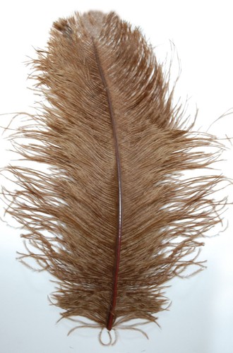 "PLUMAS DE AVESTRUZ DE 8""-18"" PLUMAS Calidad Superior ¡Muchos Colores para Elegir! Artesanía/HÁGALO USTED MISMO - Imagen 13 de 24