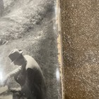 Picture 4 of 7