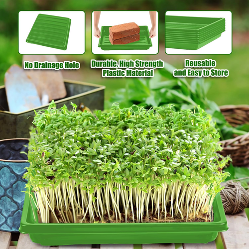 Garden Plant Growing Trays without Holes - 10" X 10" No Drain Holes Microgreens - Picture 5 of 7
